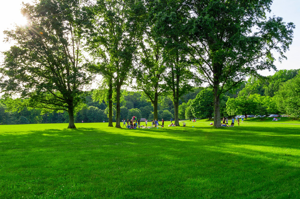 picnic en el parque - Foto, imagen
