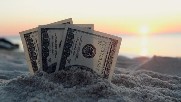 Billetes de tres dólares están enterrados en la arena en la playa de arena cerca del mar - Metraje, vídeo