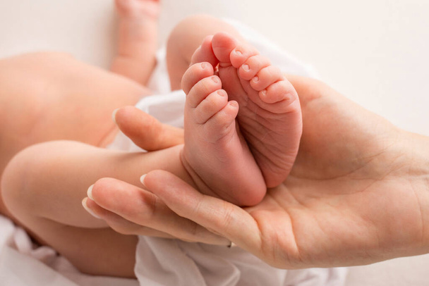 handen van ouders. de benen van de pasgeborene in de handen van mama en papa. babys benen in zijn handen.  - Foto, afbeelding