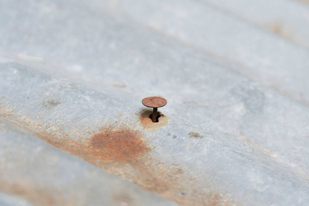 Rusty furos de ferro e pregos em um telhado de metal arqueado velho. unhas de ferro enferrujado - Foto, Imagem