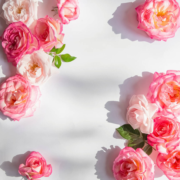 Kukka koostumus on valmistettu kauniista vaaleanpunainen ruusu silmut makaa kehyksenä valkoisella pohjalla. Luonnon käsite. Kesäteema. Minimaaliseen tyyliin. Huippunäkymä. Litteä - Valokuva, kuva