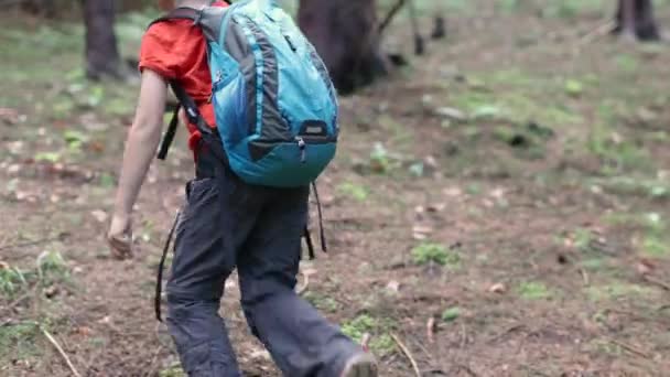 Ένα παιδί με σακίδιο περπατάει μέσα στο δάσος. Πεζοπορία στα βουνά. ταξιδεύουν με παιδιά. - Πλάνα, βίντεο