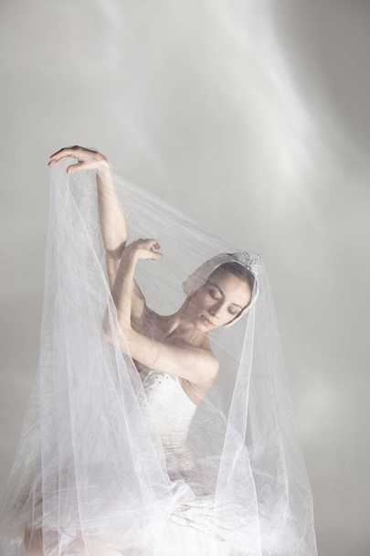 Joven balerina agraciada en imagen de cisne blanco en el rendimiento de arte aislado sobre fondo blanco gris. - Foto, imagen