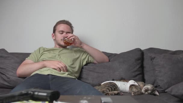 若い男は強いアルコールを飲み、ソファに座っています,薬物やアルコールの害の概念,屈託のない生活 - 映像、動画