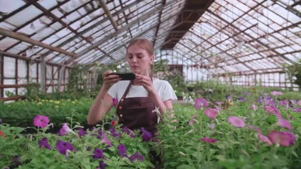 Una jovencita. invernadero trabajador con flores, toma fotos para el sitio o productos de blog - Metraje, vídeo