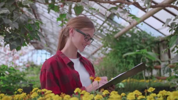 Agronomka v brýlích a kostkované červené košili kontroluje kvalitu a množství rostlin ve skleníku - Záběry, video