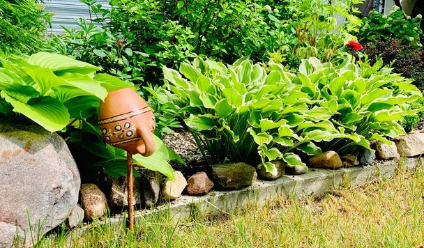 Kertészkedés egy zöld házi kertben. Festői kilátás egy gyönyörű parkosított udvarra nyáron. - Fotó, kép
