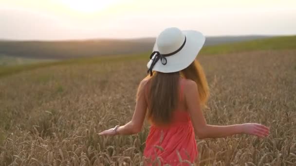Ευτυχισμένη γυναίκα με μακριά μαλλιά χορεύει στο χωράφι με το χρυσό σιτάρι το ηλιοβασίλεμα.. - Πλάνα, βίντεο