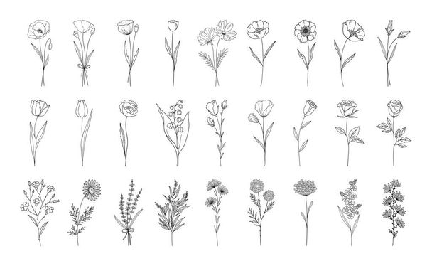Floral set, line style hand drawn flowers. Poppy, rose, lily of the valley, lavender, chamomile and other botanical elements for design projects. Vector illustration. - Vektör, Görsel
