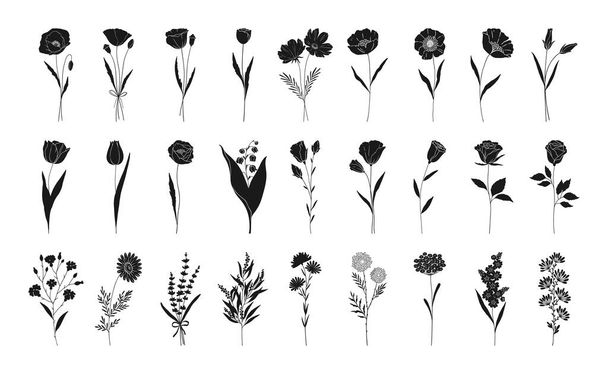 Floral set, hand drawn flowers silhouettes. Poppy, rose, lily of the valley, lavender, chamomile and other botanical elements for design projects. Vector illustration. - Vektör, Görsel