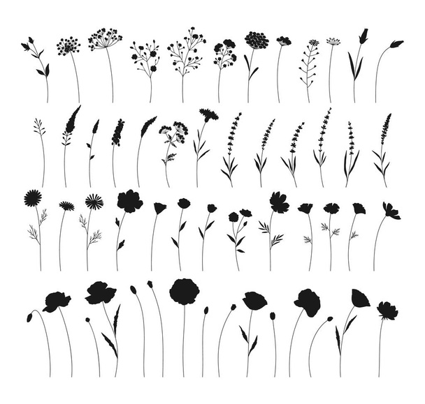 Wildflowers set, hand drawn flowers silhouettes. Meadow herbs, wild plants, botanical elements for design projects. Vector illustration. - Вектор,изображение
