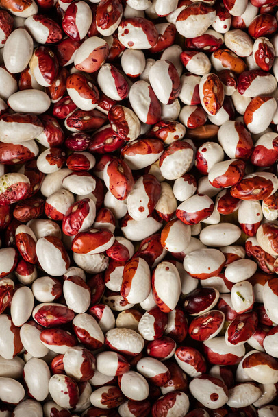 beautiful red and white beans - Photo, Image