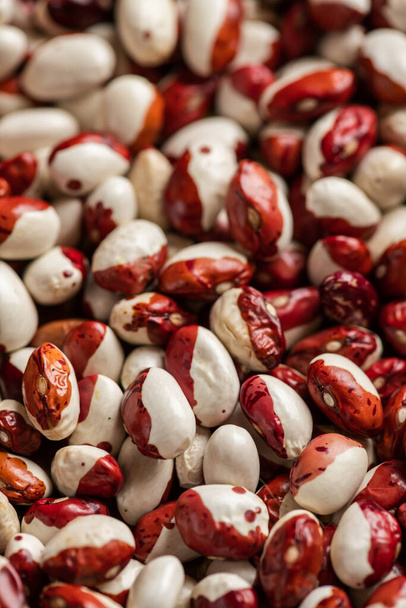 beautiful red and white beans - Photo, Image