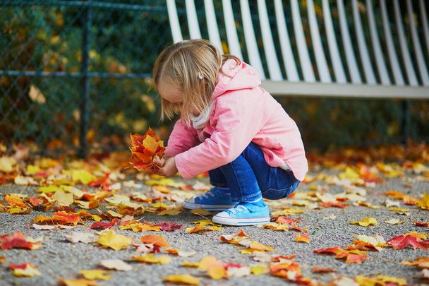 Adorable toddler girl sitting on the ground and gathering fallen leaves in autumn park. Happy kid enjoying fall day in Paris, France. Outdoor activites for kids - Fotografie, Obrázek