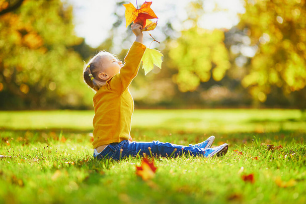 Adorable toddler girl sitting on the ground and playing with sticks and yellow fallen leaves in autumn park. Happy kid enjoying fall day. Outdoor activites for kids - Photo, image