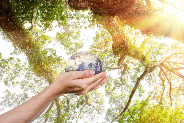 Globo, terra in mani umane su sfondo verde natura. Idea per salvare il mondo. Elementi di questa immagine forniti dalla NASA - Foto, immagini