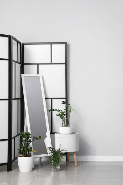 Πτυσσόμενη οθόνη με καθρέφτη και φυτά εσωτερικού χώρου κοντά στο φως τοίχο - Φωτογραφία, εικόνα