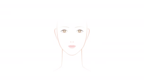 Women's make-up type. Sugaoto pink make-up and gorgeous make-up. Illustration video  - Footage, Video