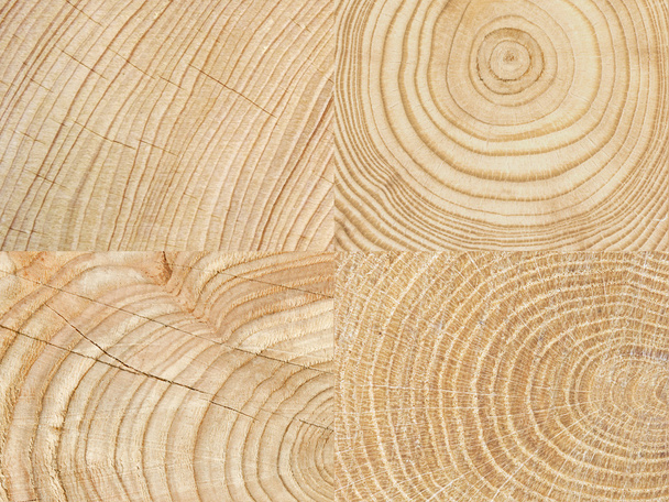 Lihgt Wood texture background - Photo, Image