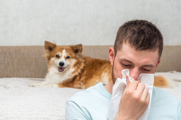 Man is allergic to dog hair. Allergy concept - Photo, Image
