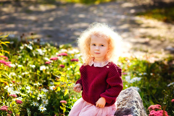 Uma menina com cabelo encaracolado claro em um canteiro de flores com flores rosa e brancas florescendo em tempo ensolarado. Uma criança com uma camisola borgonha no parque. - Foto, Imagem