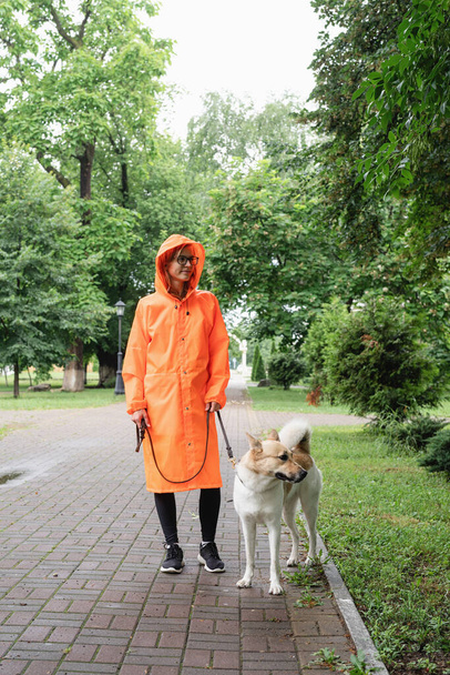 Deštivé počasí. Mladá žena v oranžovém plášti kráčí se svým psem v letním parku - Fotografie, Obrázek