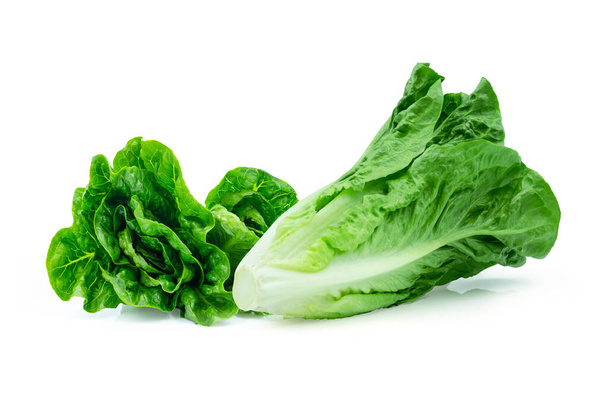 Fresh green Lettuce leaves, Salad leaf isolated on white background. with clipping path. - Фото, изображение