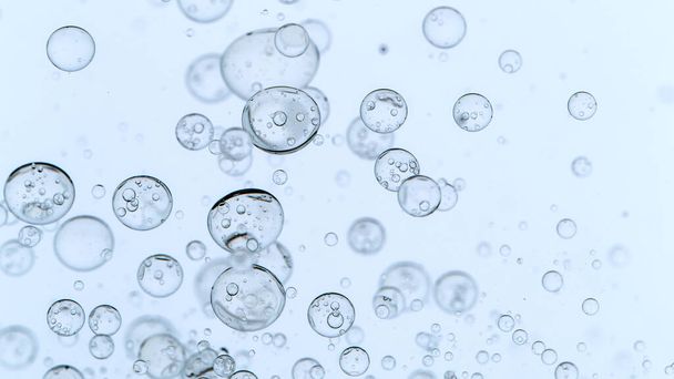 Moving Bubbles on White Background - 写真・画像