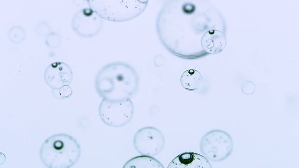 Moving Bubbles on White Background - Photo, image