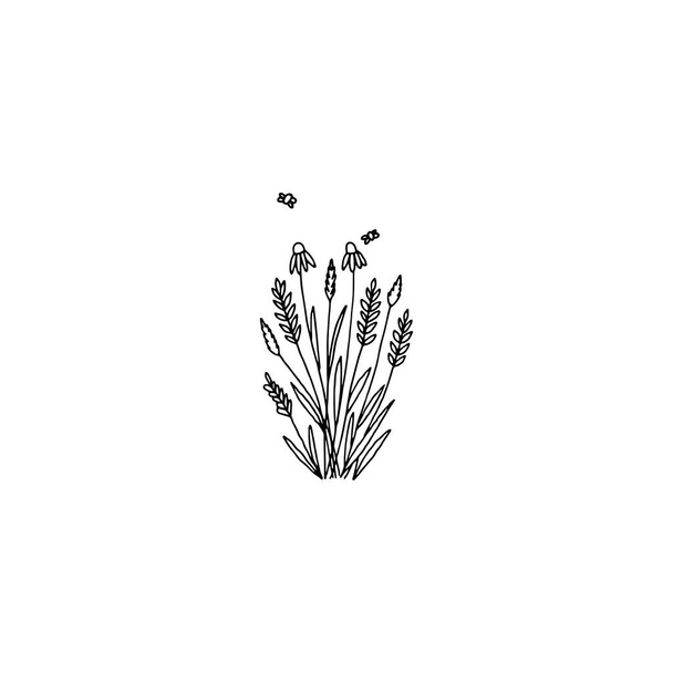 Vector wildflowers bouquet. Simple hand drawn illustration, chamomile. - Vector, Imagen