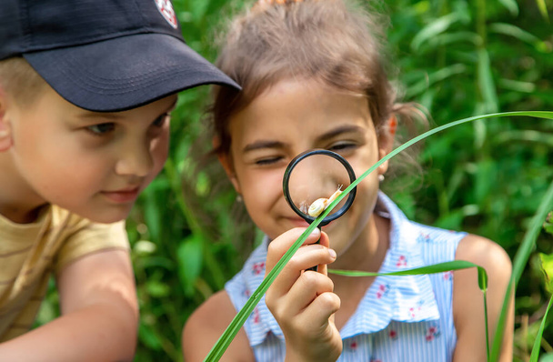 The child looks at the snail through a magnifying glass. Selective focus. Nature. - Zdjęcie, obraz