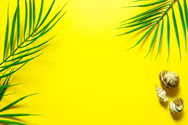Yellow summer background with palm leaves-the theme of the beach, tropical holidays, hot sun. Frame, copy space. - Photo, Image