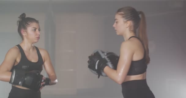 κοντινό πλάνο δύο κοριτσιών πυγμαχίας στο γυμναστήριο - Πλάνα, βίντεο