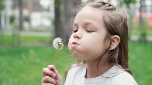 cute little girl play blow on a dandelion in park. Happy kid having fun outdoors. vacation or holidays. extra slow motion - Footage, Video