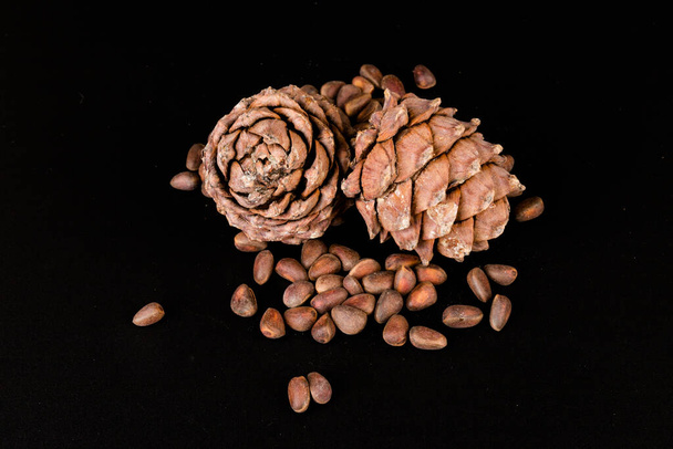 Cedar nuts in the shell with  unopened cones isolated on the black background - Фото, изображение