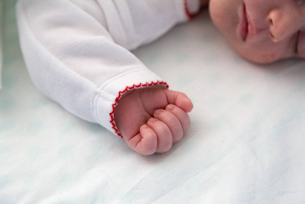 Nouveau-né bébé mignon main détail photo - Photo, image