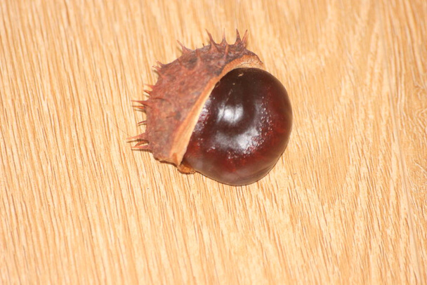 Castanha e castanha com espinhos em um piso de madeira. Close-Up de cacho de frutos de castanha secos sobre fundo de madeira. - Foto, Imagem