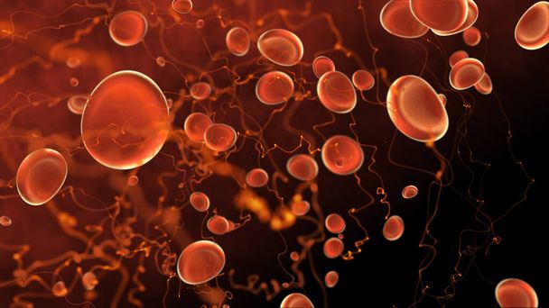 blood cells 3d rendering, biology concept wallpaper - Photo, Image