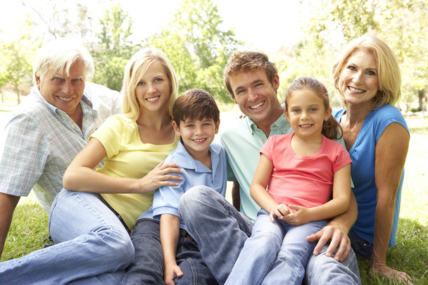 Extended Group Portrait Of Family Enjoying Day In Park - Photo, Image