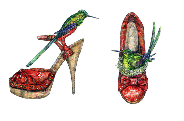 緑のハチドリが巣の中に座っている赤い革のかかとの靴と他の1つは、スタイリットの靴のサンダル、手はインク描画イラストで水彩画を描いた - 写真・画像