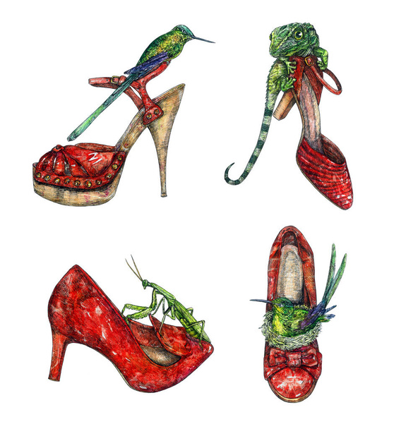 Κόκκινο δερμάτινο γατάκι παπούτσια τακούνι με πράσινο ευρωπαϊκό mantis και πράσινη σαύρα σε αυτό, παπούτσια τακούνι με πράσινο κολιμπρί κάθεται στη φωλιά μέσα και άλλο ένα σε γόβες στιλέτο, συλλογή ακουαρέλα - Φωτογραφία, εικόνα