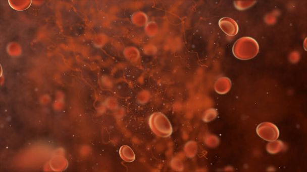 Kan hücreleri ve virüsler, biyoloji konsepti - Fotoğraf, Görsel