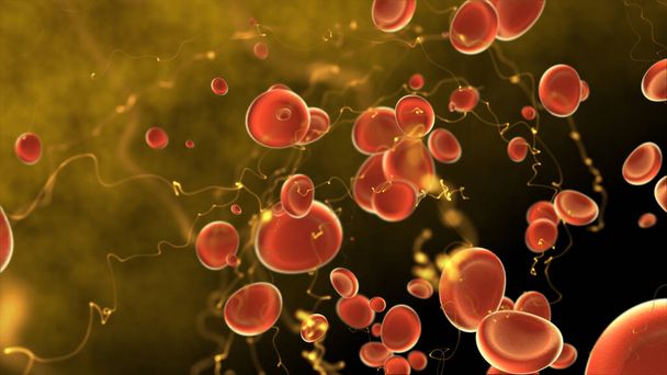 blood cells 3d rendering, biology concept wallpaper - Photo, Image