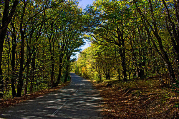 Прекрасний поворот дороги в осінньому лісі
. - Фото, зображення
