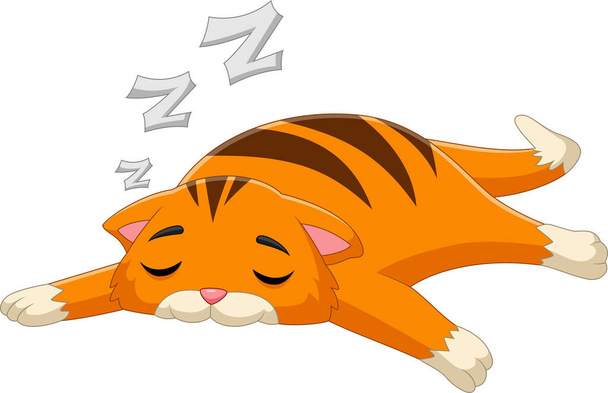 niedliche Katze schlafende Karikatur auf weißem Hintergrund - Vektor, Bild