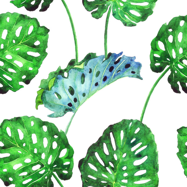 Сплит филодендрон листья, раскрашенные вручную акварелью иллюстрации, бесшовный узор дизайн на белом фоне - Фото, изображение