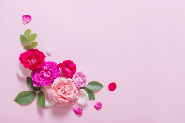 beautiful roses on pink paper background - Foto, Imagen