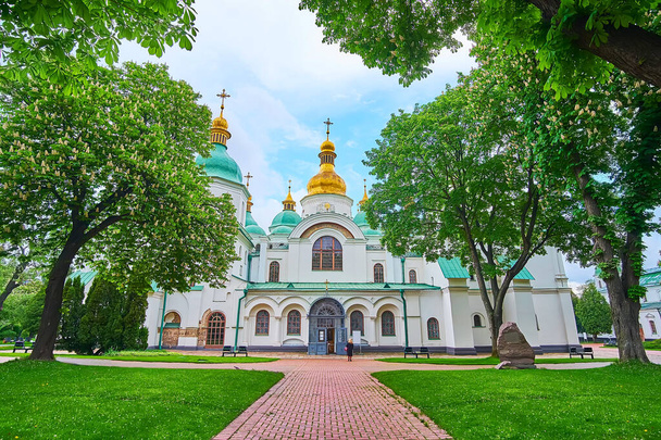 Walk the scenic garden of St Sophia Cathedral with tall blooming chestnut trees and green lawn, watch historic Cathedral's exterior, Kyiv, Ukraine - Foto, afbeelding