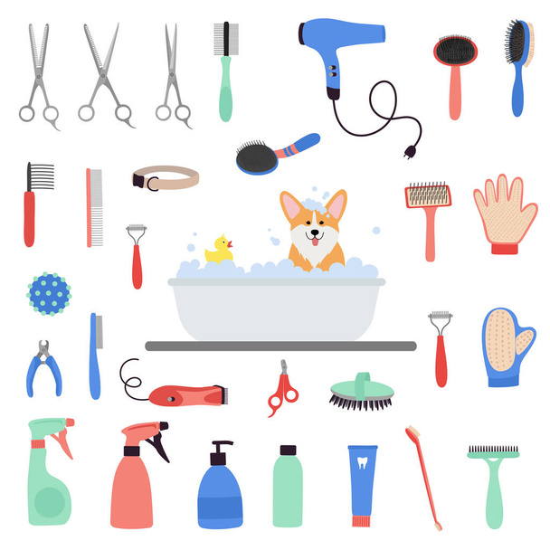 Pet grooming tools set. Dog and cat care, grooming, hygiene, health. Corgi dog bath. Beauty salon for domestic animals, Pet shop. Flat vector illustration isolated on white background - Vector, afbeelding