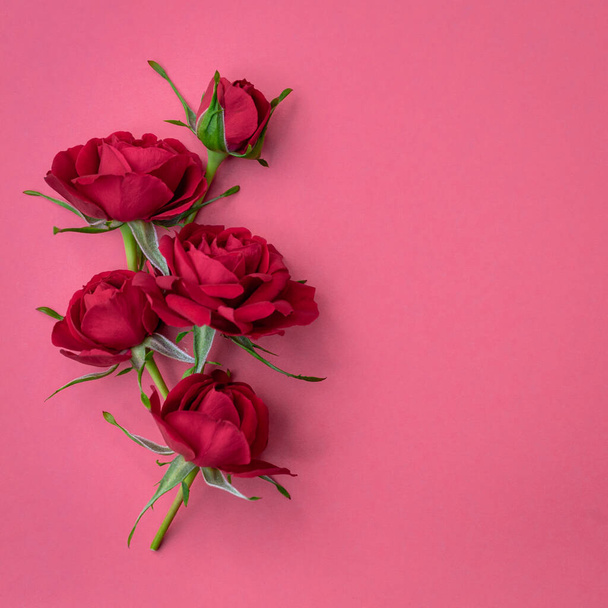 Pembe arka planda parlak kırmızı güller. Tasarım yeri olan bir kartpostal. Çiçek bileşimi. - Fotoğraf, Görsel
